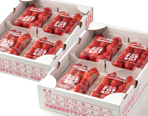 村田さん家のいちごパック(特選 中)