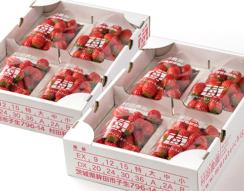 村田さん家のいちごパック(特選 小)